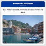 Два пса получают лечение после изъятия из дома в Киттитас-Каунти