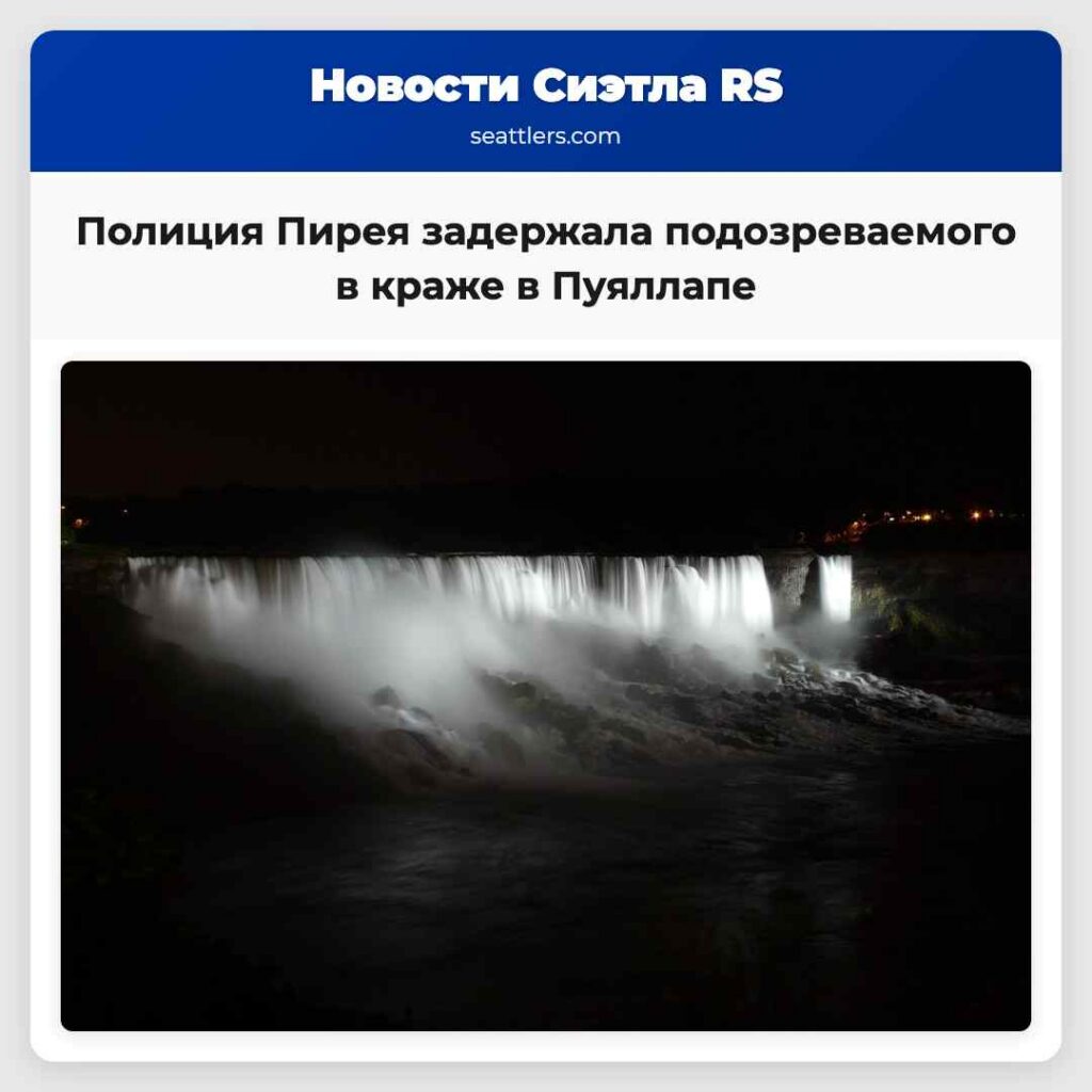 Полиция Пирея задержала подозреваемого в краже в