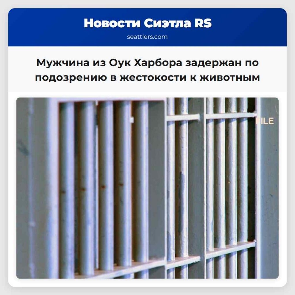 Мужчина из Оук Харбора задержан по подозрению в