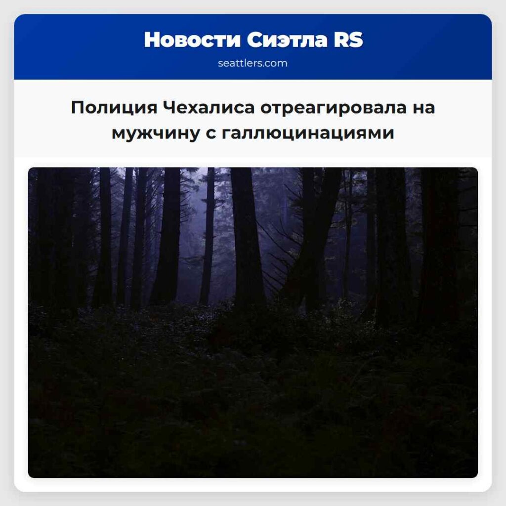 Полиция Чехалиса отреагировала на мужчину с