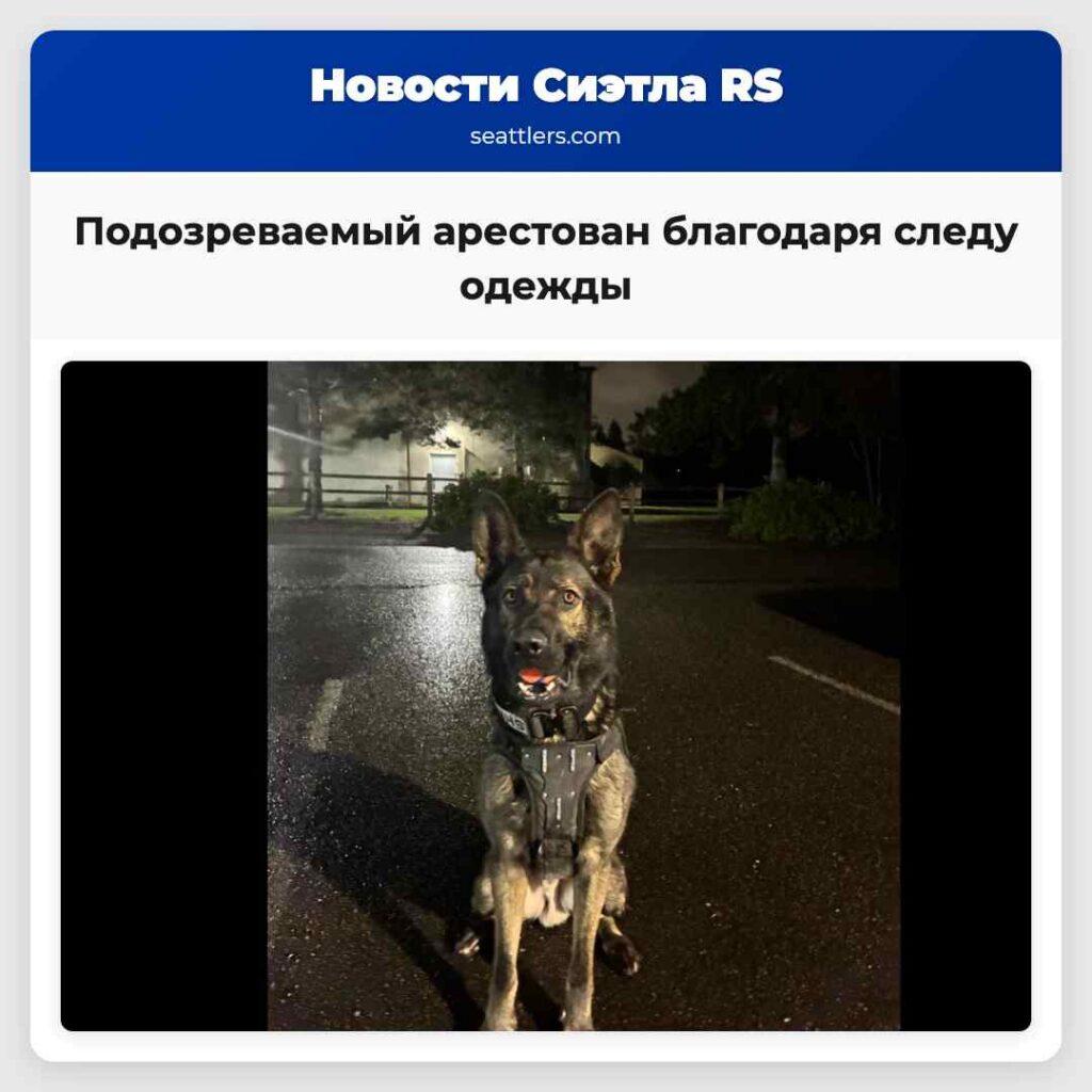 Подозреваемый арестован благодаря следу одежды