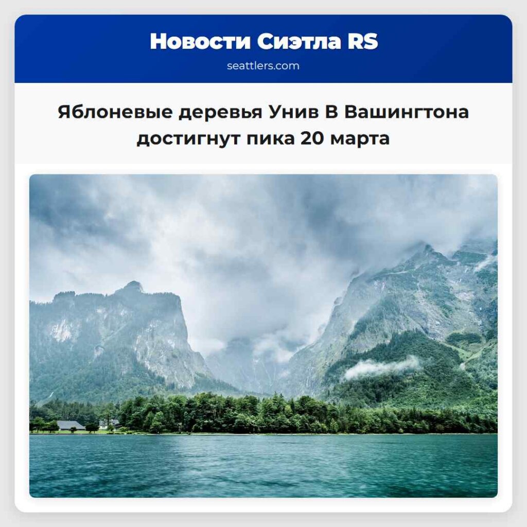 Яблоневые деревья Унив В Вашингтона достигнут