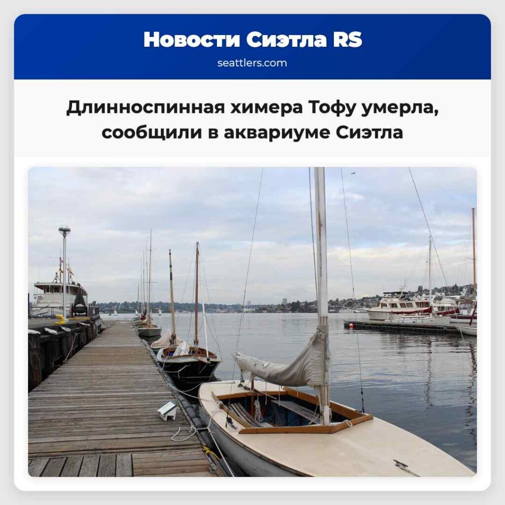 Длинноспинная химера Тофу умерла, сообщили в