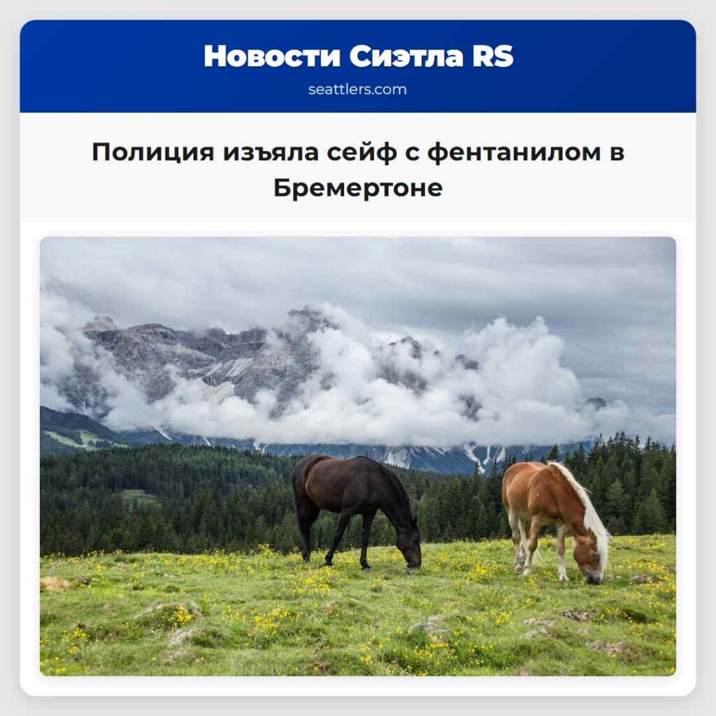 Полиция изъяла сейф с фентанилом в Бремертоне