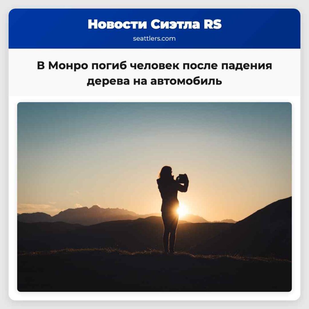 В Монро погиб человек после падения дерева на