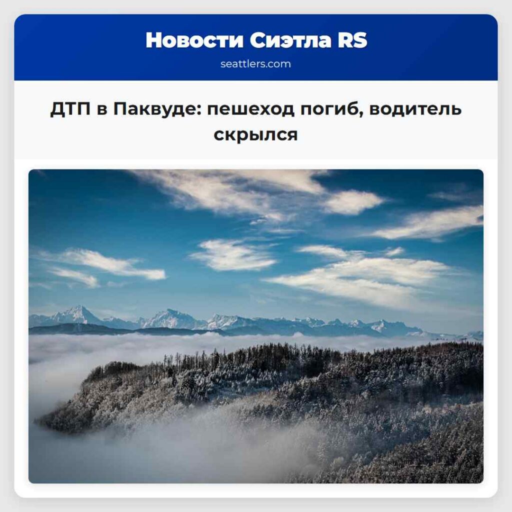 ДТП в Паквуде: пешеход погиб, водитель скрылся