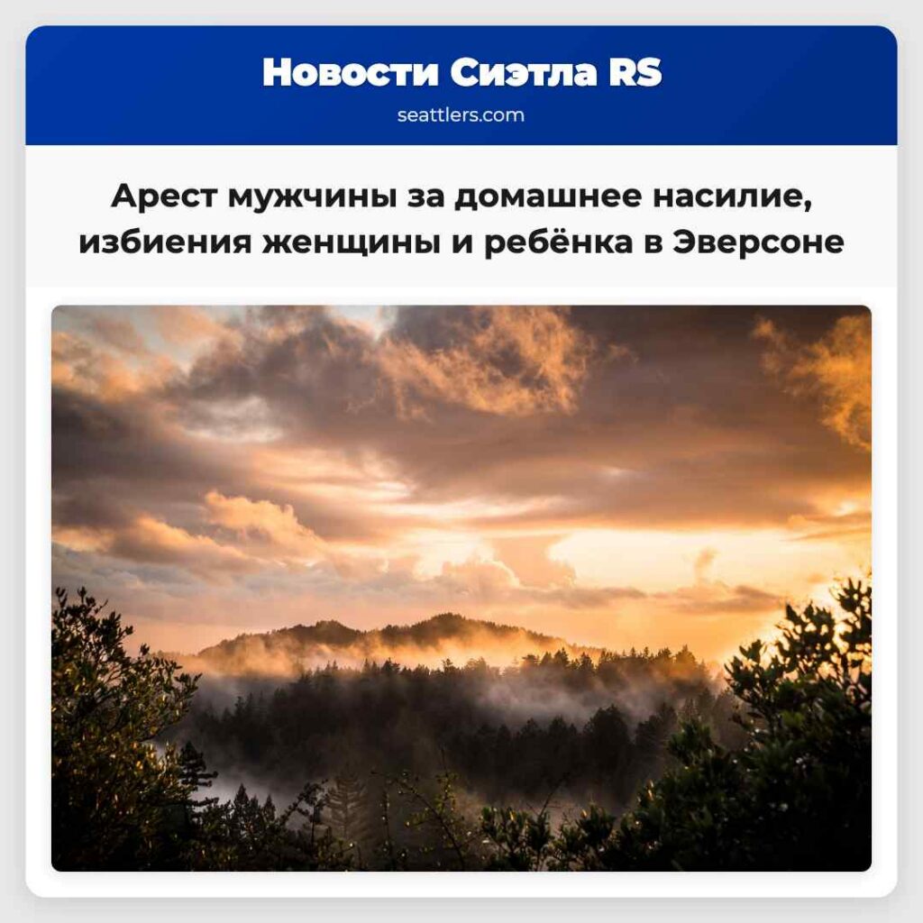 Арест мужчины за домашнее насилие, избиения