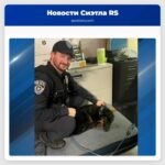Dog found tied to fence in rain finds home with Auburn officer who rescued him