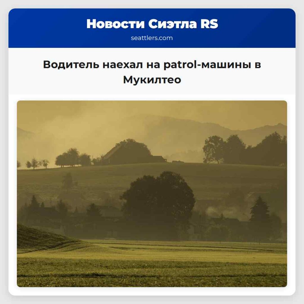 Водитель наехал на patrol-машины в Мукилтео