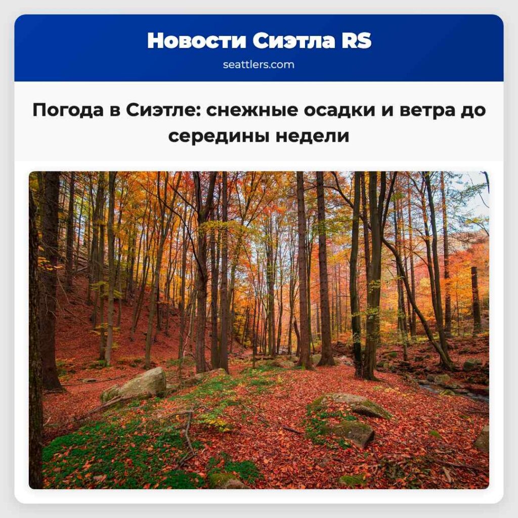 Погода в Сиэтле: снежные осадки и ветра до