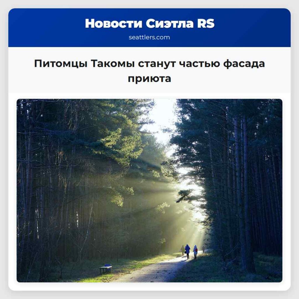 Питомцы Такомы станут частью фасада приюта