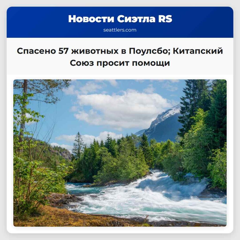Спасено 57 животных в Поулсбо; Китапский Союз