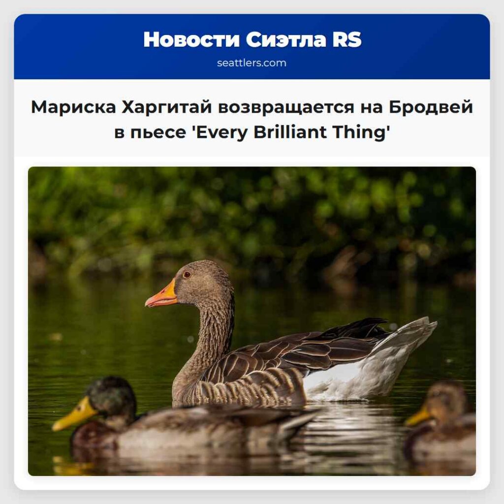 Мариска Харгитай возвращается на Бродвей в пьесе