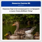 Мариска Харгитай возвращается к театральной сцене на Бродвее в пьесе Every Brilliant Thing