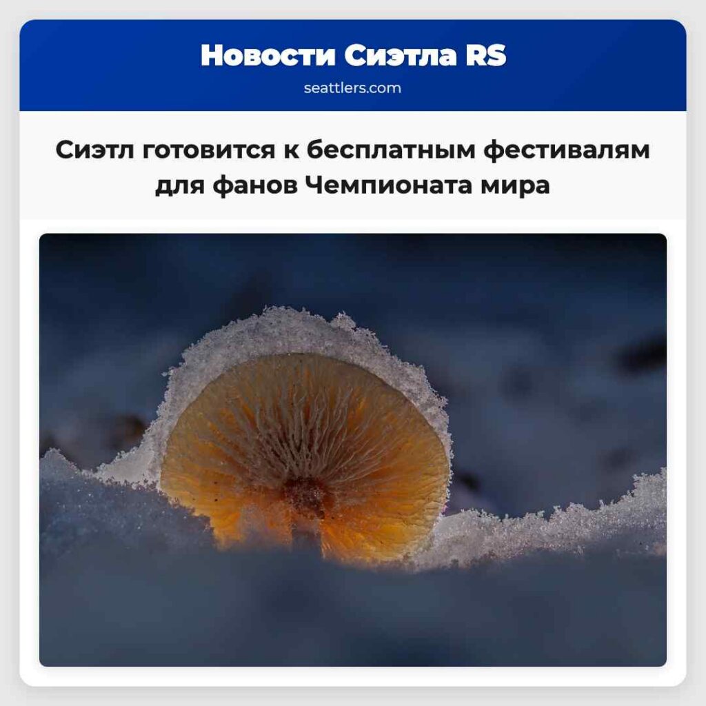 Сиэтл готовится к бесплатным фестивалям для фанов