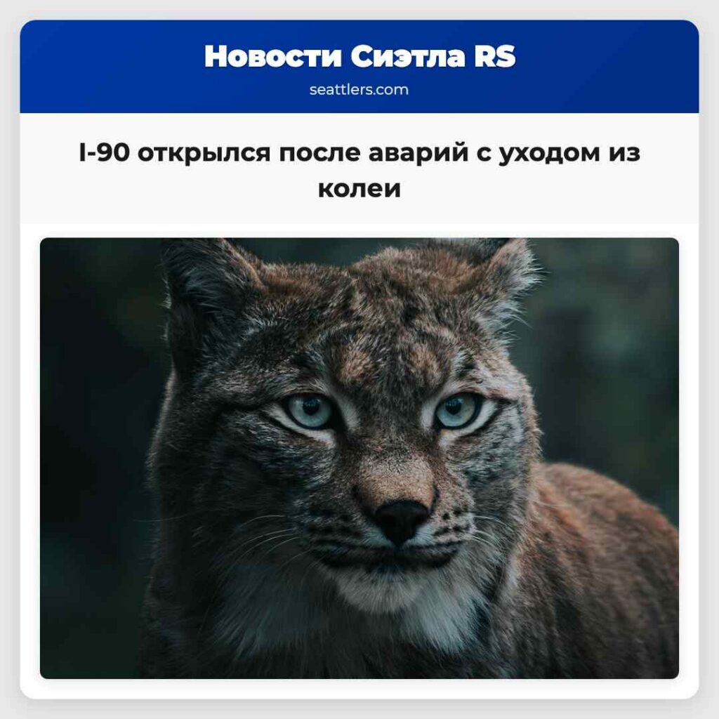 I-90 открылся после аварий с уходом из колеи
