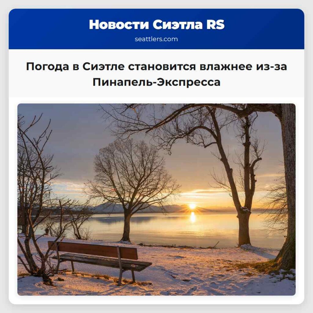 Погода в Сиэтле становится влажнее из-за