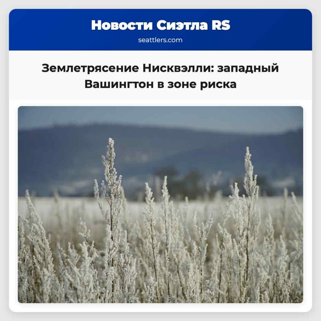 Землетрясение Нисквэлли: западный Вашингтон в