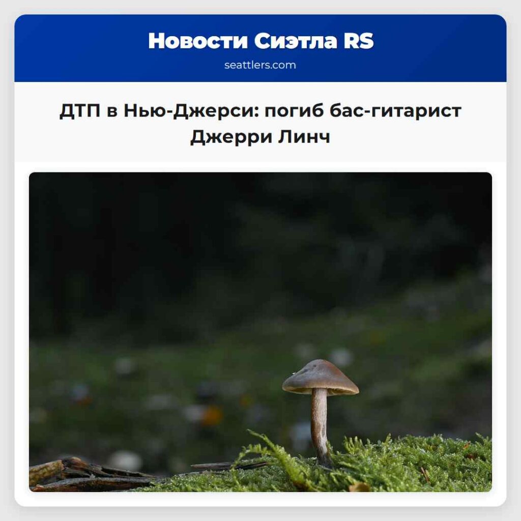 ДТП в Нью-Джерси: погиб бас-гитарист Джерри Линч