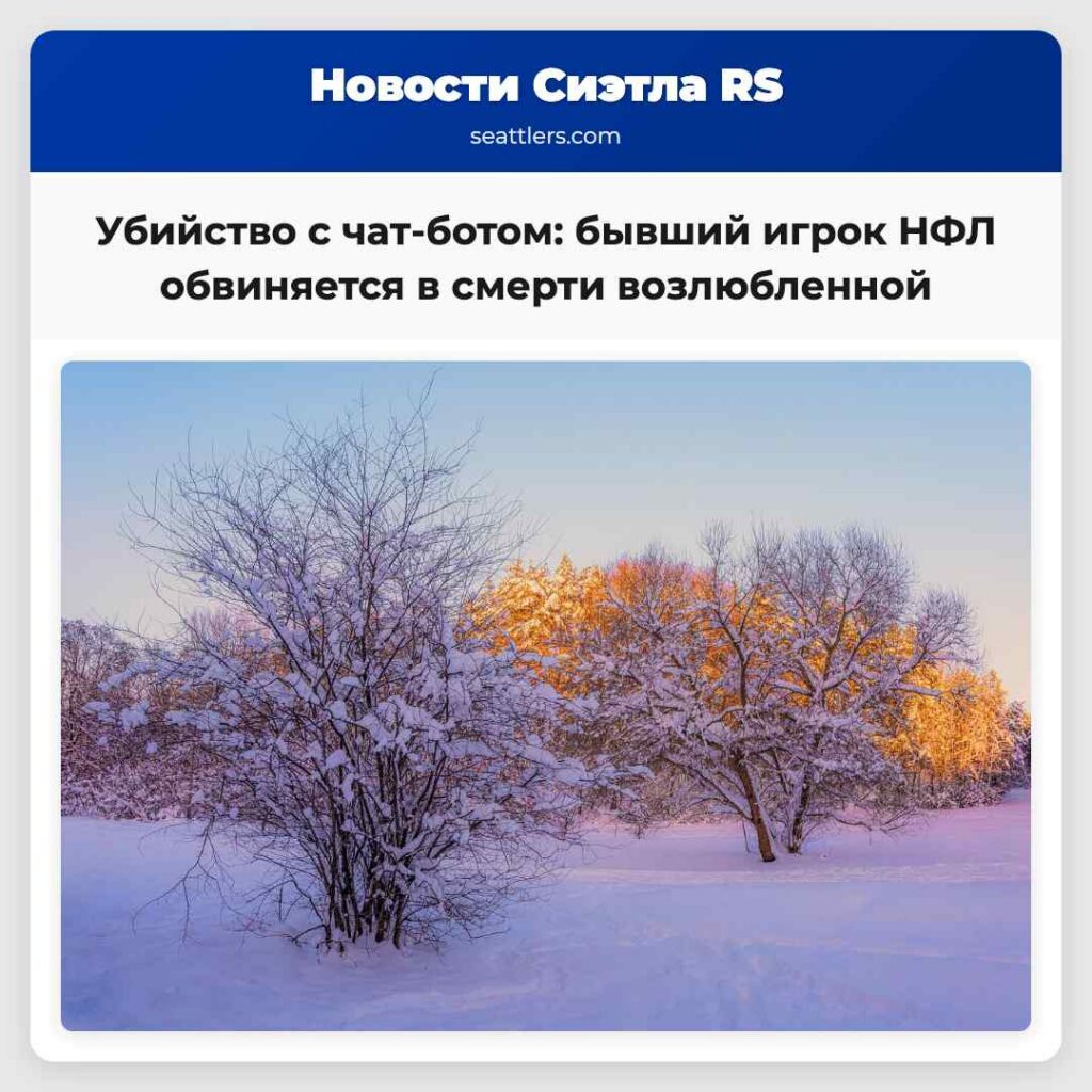Убийство с чат-ботом: бывший игрок НФЛ обвиняется