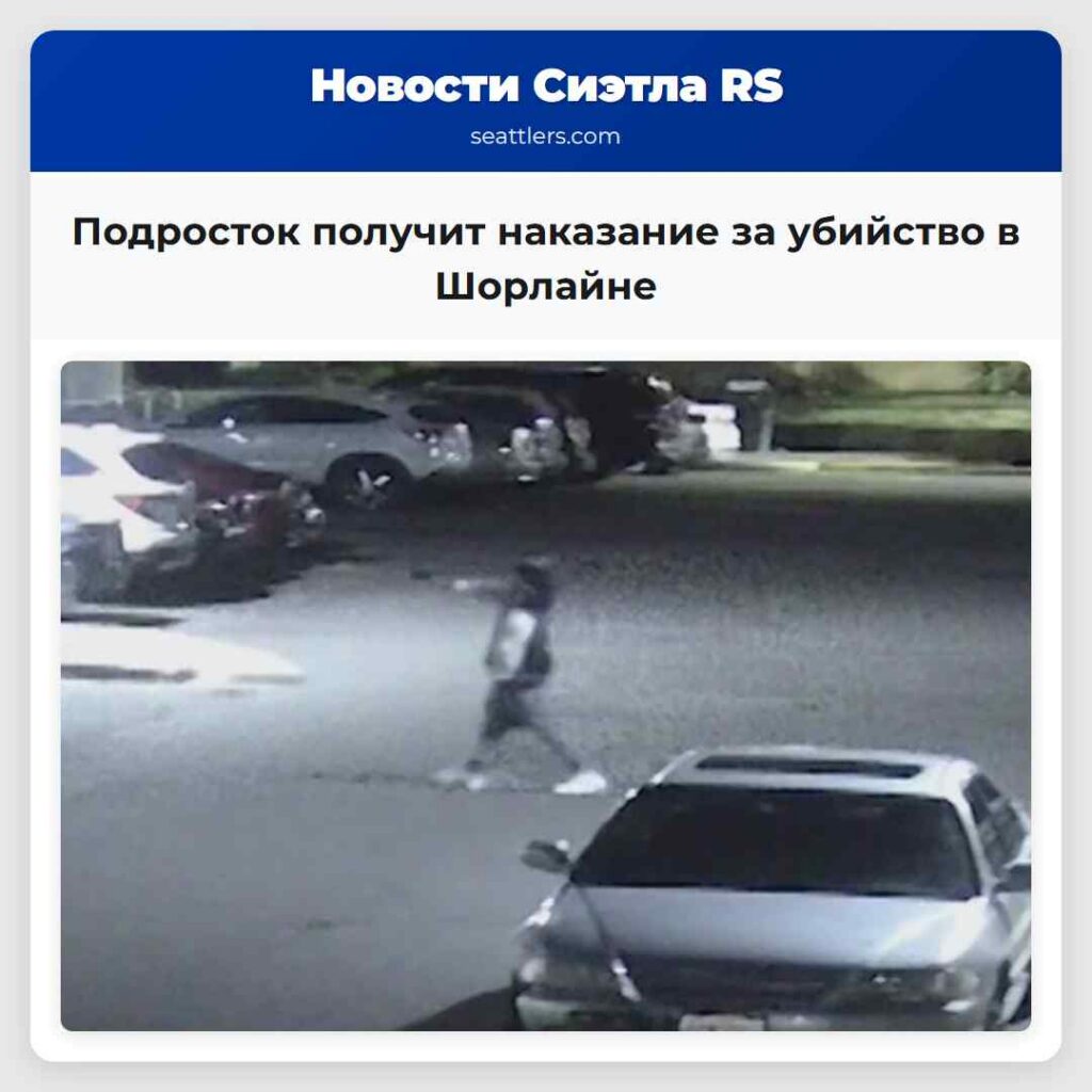 Подросток получит наказание за убийство в Шорлайне