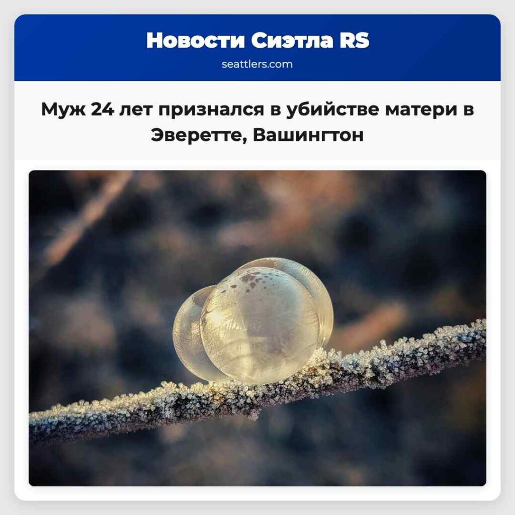 Муж 24 лет признался в убийстве матери в