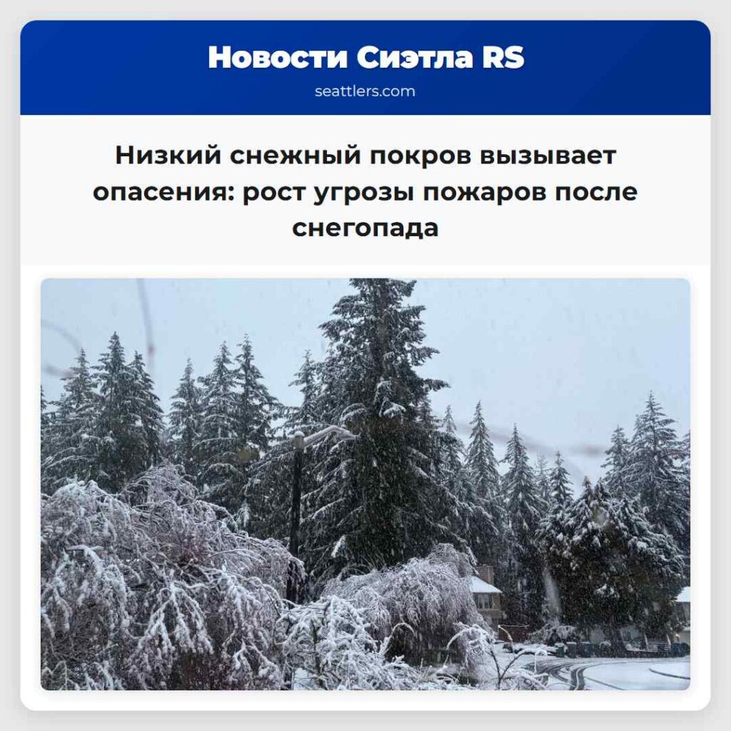 Низкий снежный покров вызывает опасения: рост