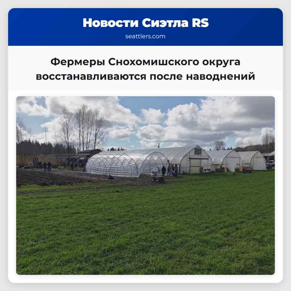 Фермеры Снохомишского округа восстанавливаются