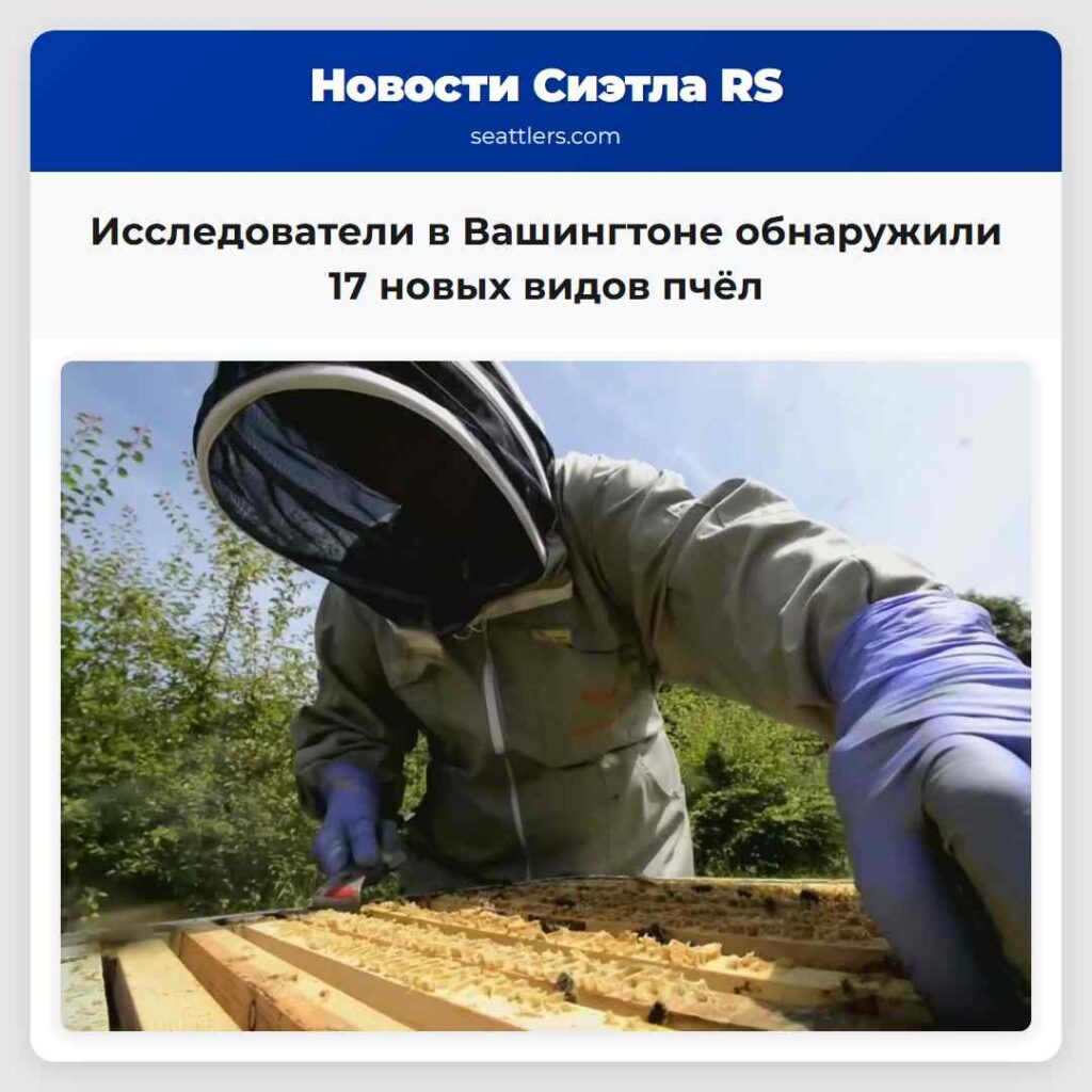 Исследователи в Вашингтоне обнаружили 17 новых