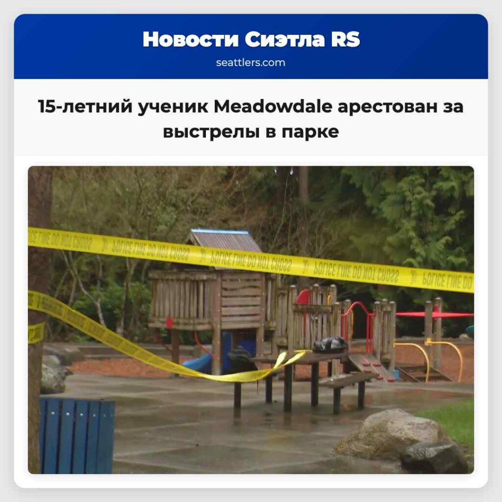 15-летний ученик Meadowdale арестован за выстрелы