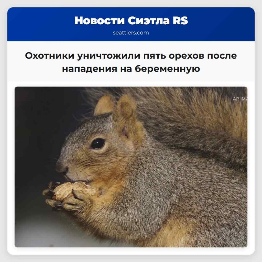 Охотники уничтожили пять орехов после нападения