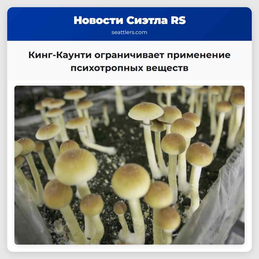 Кинг-Каунти ограничивает применение психотропных
