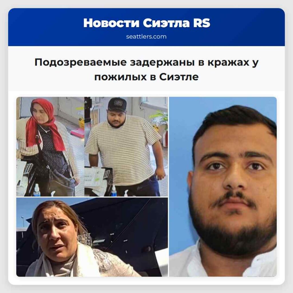 Подозреваемые задержаны в кражах у пожилых в