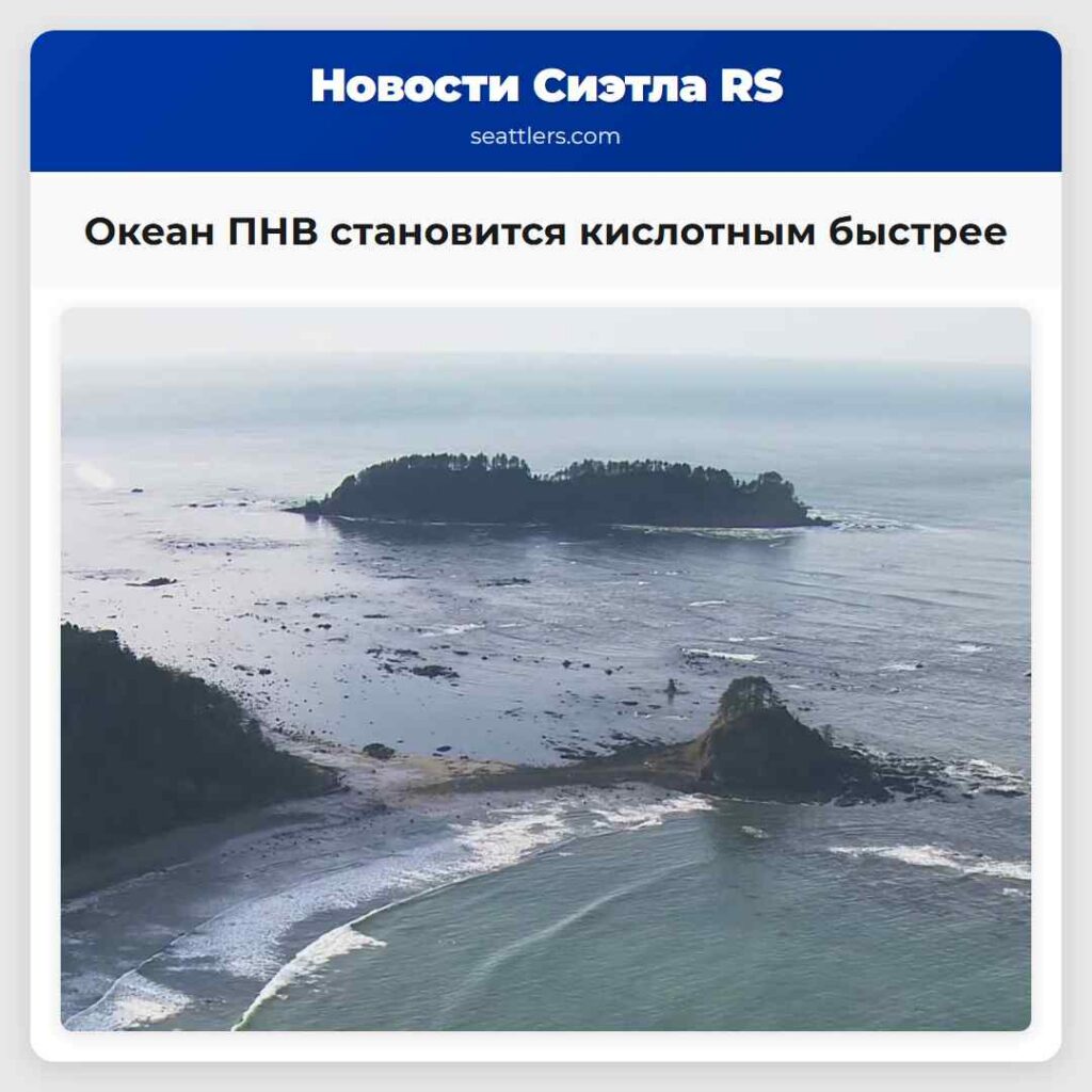 Океан ПНВ становится кислотным быстрее
