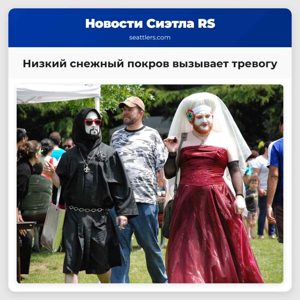 Низкий снежный покров вызывает тревогу