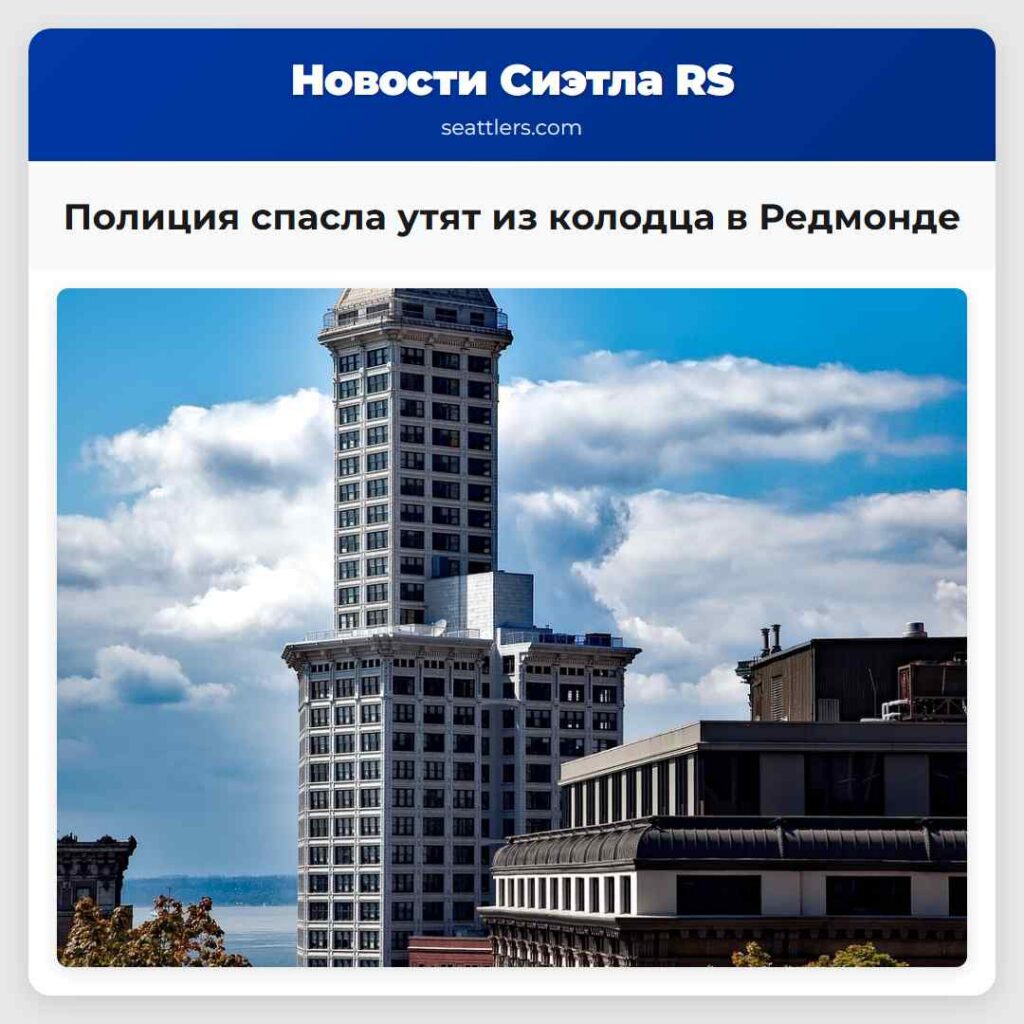 Полиция спасла утят из колодца в Редмонде