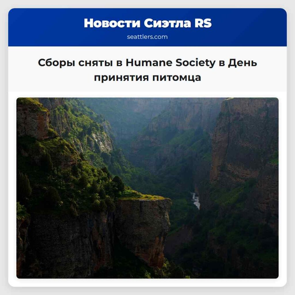 Сборы сняты в Humane Society в День принятия
