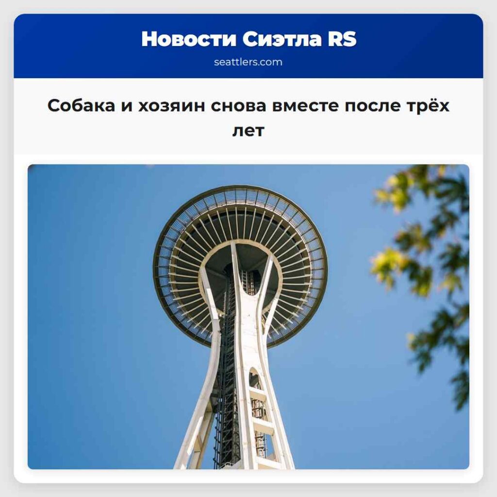 Собака и хозяин снова вместе после трёх лет