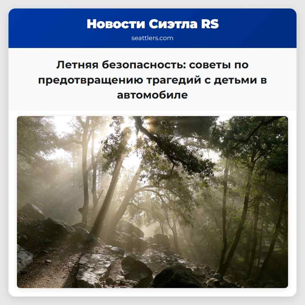 Летняя безопасность: советы по предотвращению