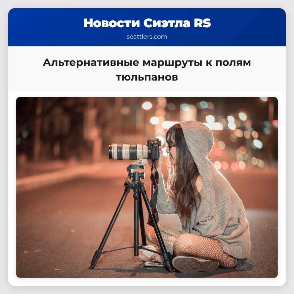 Альтернативные маршруты к полям тюльпанов