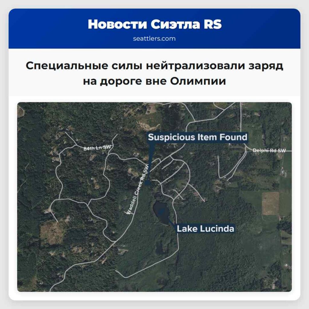 Специальные силы нейтрализовали заряд на дороге