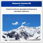 Новый китёнок дельфина-безумца в проливе Саратога