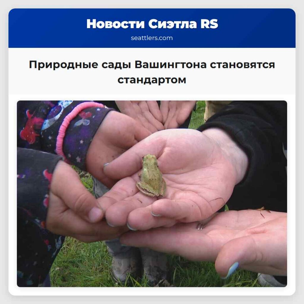 Природные сады Вашингтона становятся стандартом