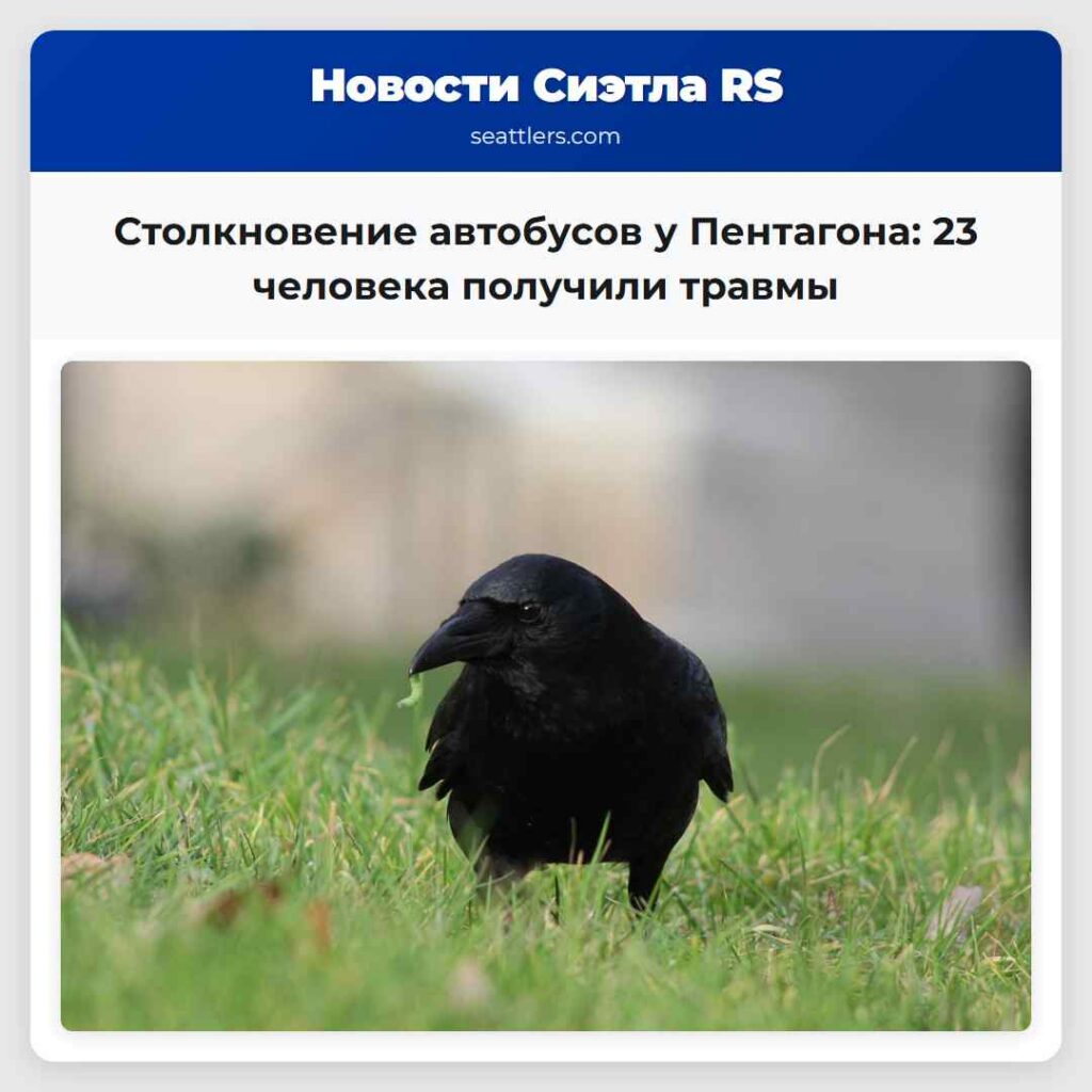 Столкновение автобусов у Пентагона: 23 человека