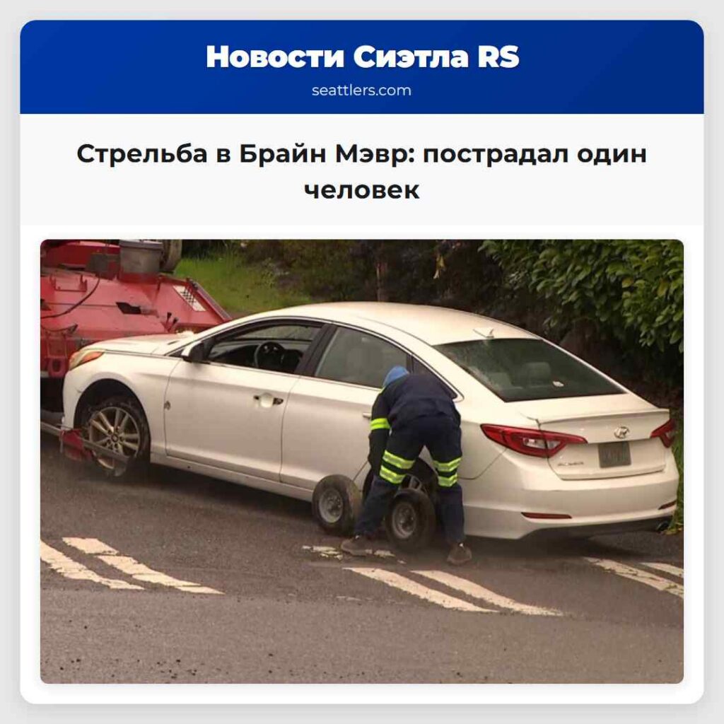 Стрельба в Брайн Мэвр: пострадал один человек