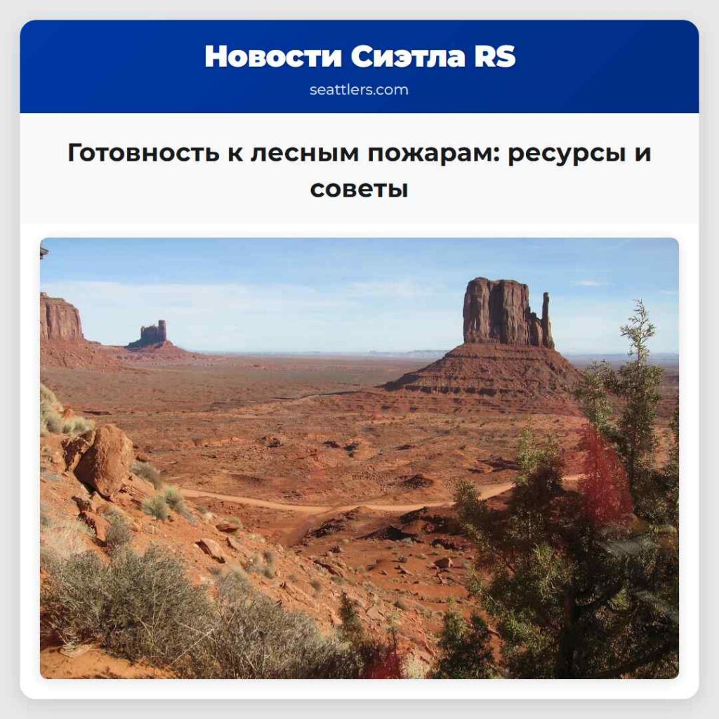 Готовность к лесным пожарам: ресурсы и советы