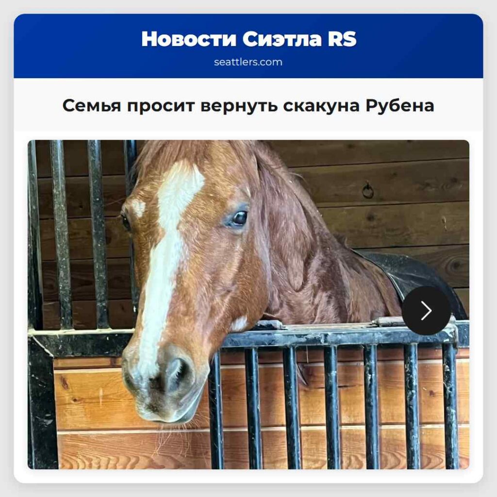 Семья просит вернуть скакуна Рубена