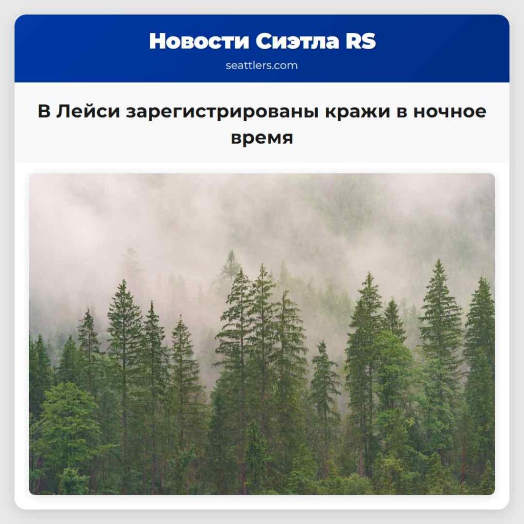 В Лейси зарегистрированы кражи в ночное время