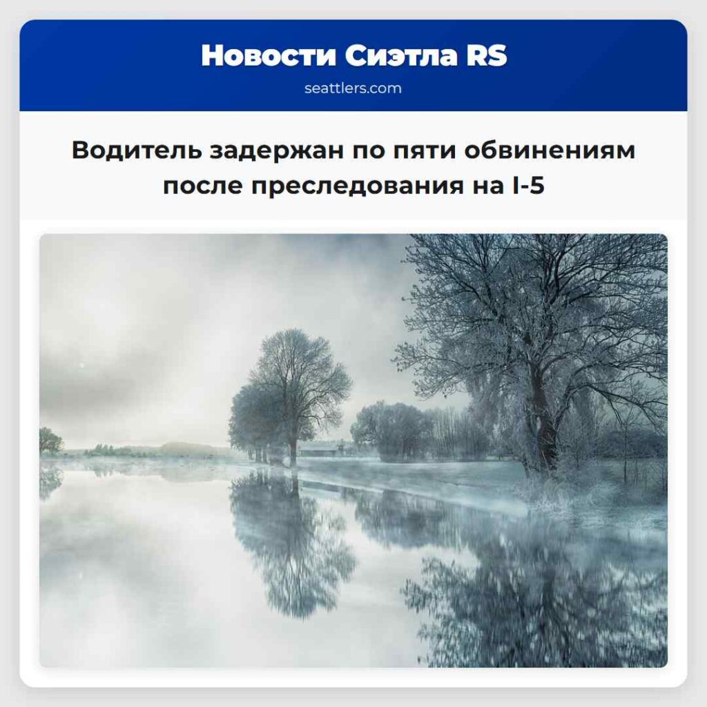 Водитель задержан по пяти обвинениям после
