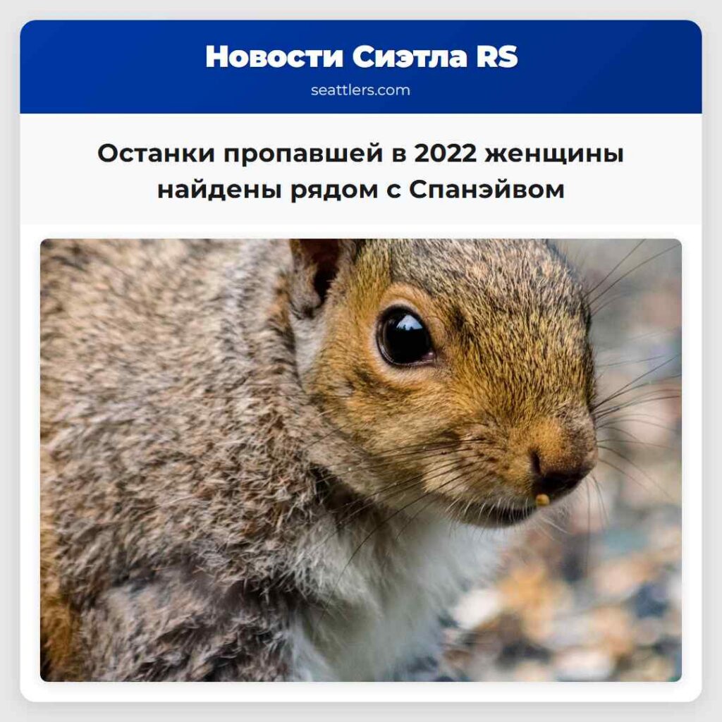 Останки пропавшей в 2022 женщины найдены рядом с